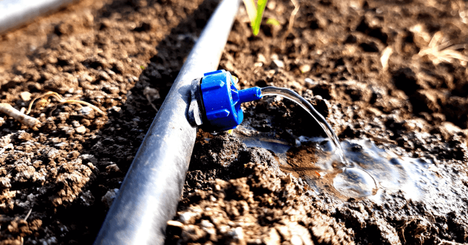 Drip emitter delivering water directly to the root zone of a plant.