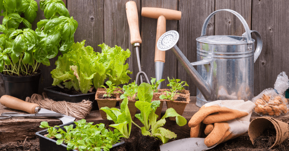 Preparing to plant a spring vegetable garden