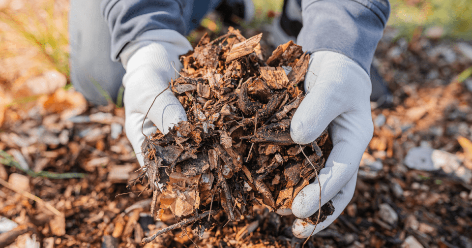 Adding organic material to your garden bed will replenish essential nutrients in the soil.