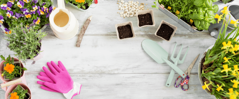 Image of materials to start a garden including flowers, herbs, gloves, pots, and other supplies.